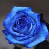 404notfoundd1's profile picture. در حال زنده ماندن