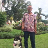Felix Yoyok (@yoyokfelix7177) 's Twitter Profile