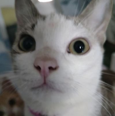 Kyoさんのプロフィール画像