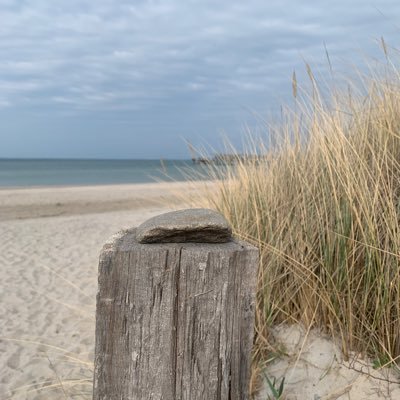 Freiheitsliebend, Strandmensch, Daddy of 2, swissy dog, ETFs, Aktien, Krypto, motorcycle & car guy 🤙🏻