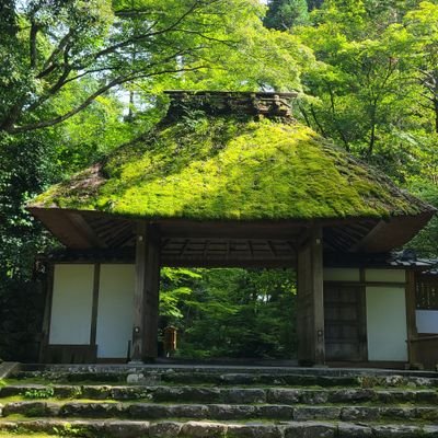 1UA6otyWgNSXPnn's profile picture. 学生野球部時代の仲間や後輩が、競輪選手になったのをきっかけに応援に行き、競輪選手の直向きさと人間ドラマに魅せられて、日本発祥の競輪と選手を応援✨
元オリンピック日本代表、ケイリン世界ランク１位グランドスラマー福島支部所属新田祐大選手をずっと応援しています✨
生まれ育った日本と先人に感謝して、我が祖国を護りたいです。🍀