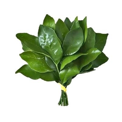 glbines's profile picture. ควย