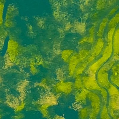 MIN3T4's profile picture. 07 春から美大生☺︎