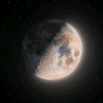 rony_fight878's profile picture. 