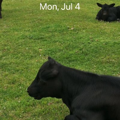 1skinnybasturd's profile picture. 