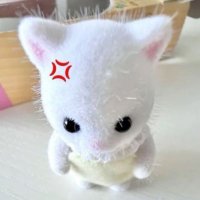 159㎝62㎏ (@ftq4l) 's Twitter Profile