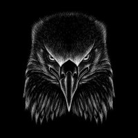 SilusGotwings (@silusgotwingsfc) 's Twitter Profile