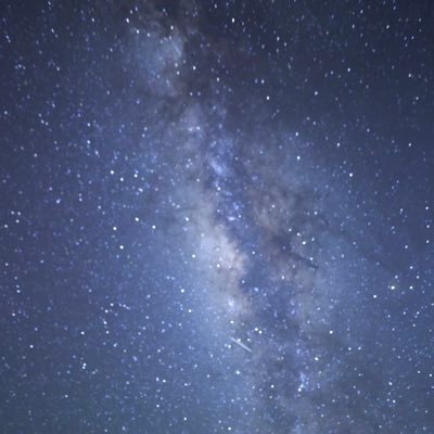 SunSunflowerlol's profile picture. 