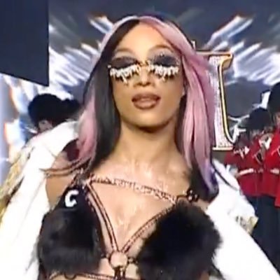 sxshashouse's profile picture. pro wrestling 🦄💋
