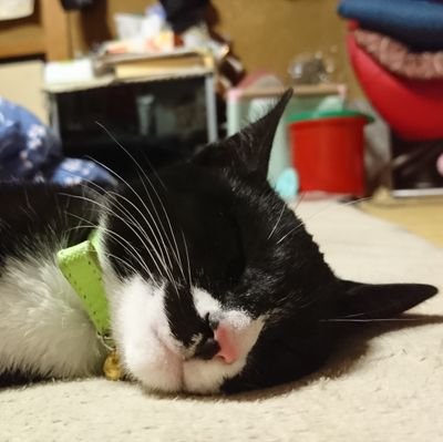 裏の思考。30↑笑。
最近はSTGRのハンさん、夜若木を中心に沼ってます。
昔のアニメとか最近のアーティストとかを斜めから見ているという完全なお腐れ様です。腐がわからない方、地雷の方はご注意を。
鍵ゆえに無言フォローですいません。いつも萌えをありがとうございます。
ヘッダーはばじ。さん(@Basi_4215 )から。