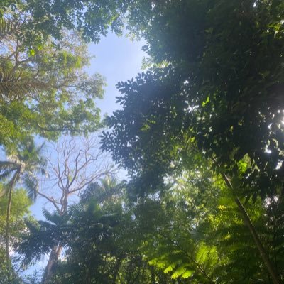 BeverlyCat57700's profile picture. Life is full of colours❤️PangkatShuvee/A’tin(Pangkaps)