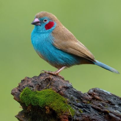 big_bwritter's profile picture. I'm an academic tutor and a professional online writer Writing hand Expert in: research papers, essays, dissertation, term papers & thesis.