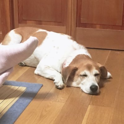 みーしゃんさんのプロフィール画像