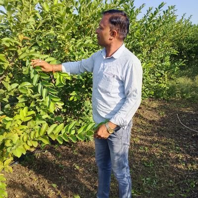 पशु चिकत्सा सेवा एवं दुग्ध डेयरी
किसान हु मेहनत करने का हुनर है 🙏