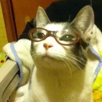 musilsus's profile picture. 