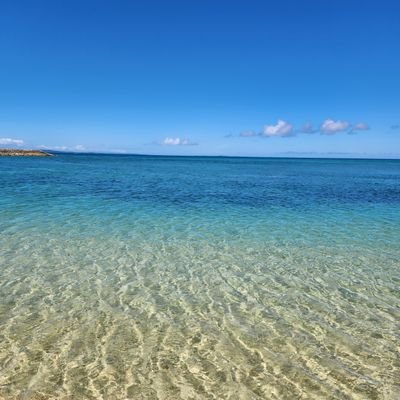 Nextstep_ys's profile picture. 