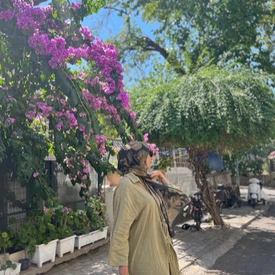 gunes_dsd's profile picture. 