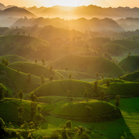 VNichols85435's profile picture. Believer in being globally-minded and minimalist and hardworking. When not busy in educational technology, you'll find me enjoying animation, creative writing.