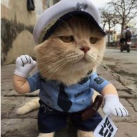 Jeff (@machinejeff21) 's Twitter Profile