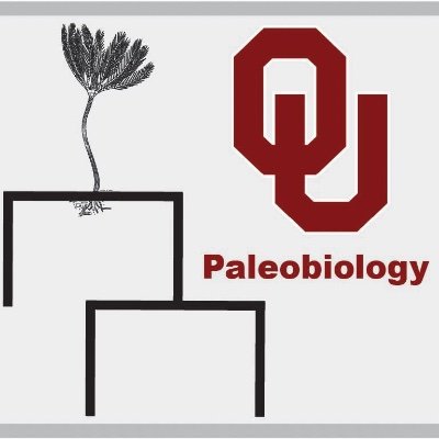 Our labs investigate the diversity, ecology, & evolution of fossil invertebrates @ The University of Oklahoma (Geoscience) & Sam Noble Museum of Natural History