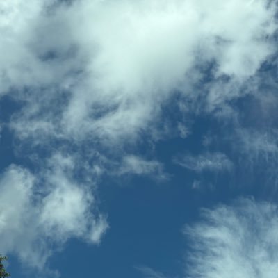 xdxdxd823746's profile picture. 