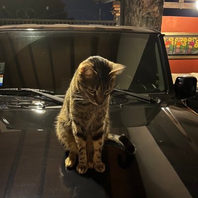 Joacon555's profile picture. laburista