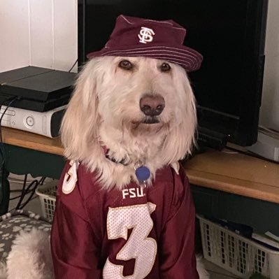 WinterHavenNole's profile picture. Born in Baltimore Maryland, a diehard FSU,and Orioles fan. I haven’t watched the NFL for 35 years. I spend my spare time on the Senior Bowlers tour.