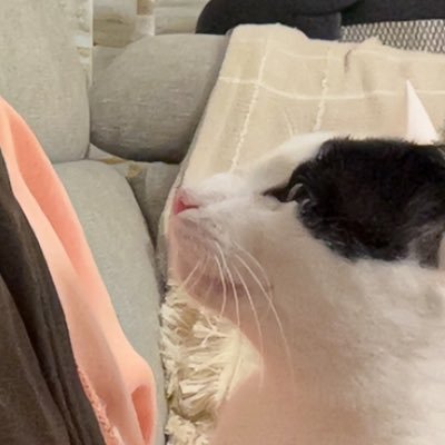 7iriss7's profile picture. ancien compte piraté @7mrtns7