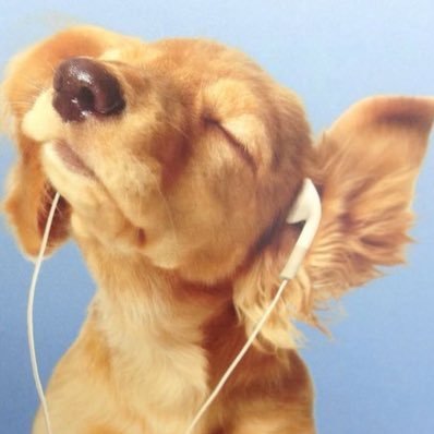 lxooyy's profile picture. '08 utsⅠ志 ♂