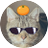 Stch57517_SN's profile image