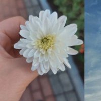 آلاء 🥀 (@alaa12346576) 's Twitter Profile