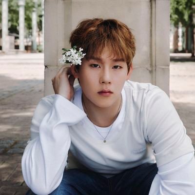 87paradise19's profile picture. Monsta x Monbebe
Love coffee and taking pictures.