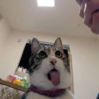 u__n88's profile picture. ﾐｹﾎﾟｻﾏ🙌💕︎︎/25/裏/顔とかメディア欄にあります/てきとーに/質問箱↓