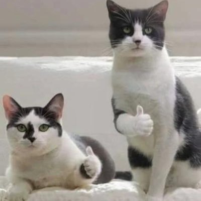 ano_genital_D's profile picture. Yo おれ達は2人で1つ　そうだろ？