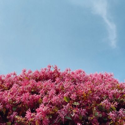 kiw1__2525's profile picture. 