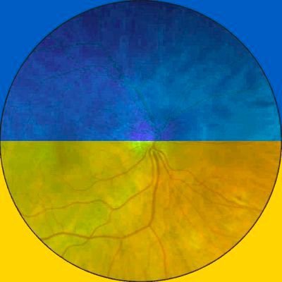 Proudly Ukrainian soldiers fighting for the freedom of my country