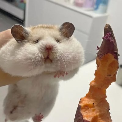 XiaotaoMarsLink's profile picture. ｜SpaceX fan | Currency enthusiast | Daily sharing | horror game enthusiast ｜please follow @cccxxxyyyiii @cccxxxyyyiii_