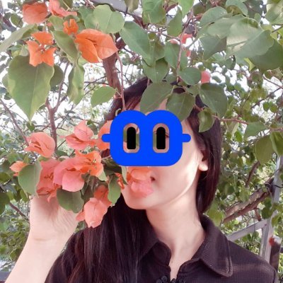 @Bechicute2024