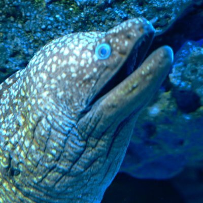 きのっこさんのプロフィール画像