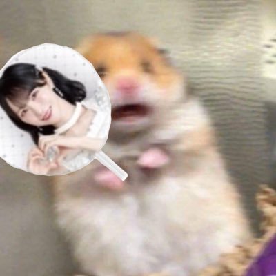 koelove1277's profile picture. 🌱🍨