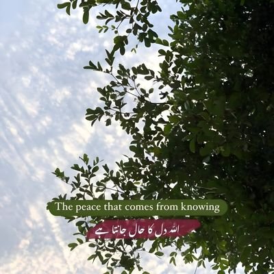 Aimanfarooq_0's profile picture. 𓆩 أمةُ الله 𓆪 | عابدة لله وحده