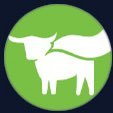 ProgressSlowly's profile picture. Beyond Meme Stocks