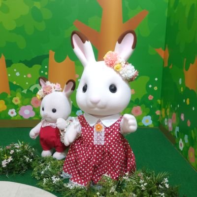 2525toriko's profile picture. 情報収集及び独り言用