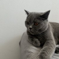 Wanessa Woźniak (@sir_fiskus) 's Twitter Profile
