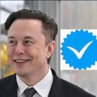 MUSK 🚀 (@musk_1542) 's Twitter Profile