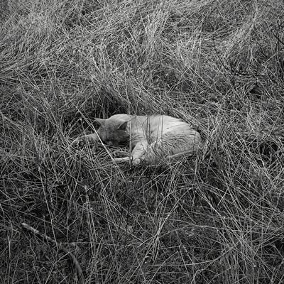 Ed_Cardio's profile picture. 