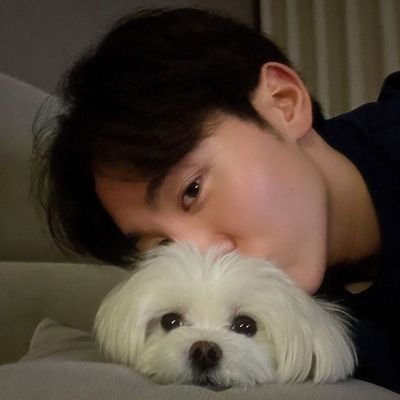 (人*´∀`)。*゚*☆
btsvtxt n more /
(more like a spam acc) // bts anti dni 🙏
