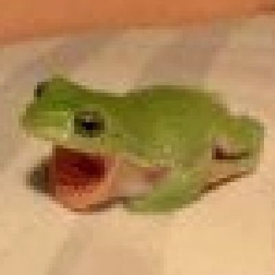 TheArmadillo03's profile picture. 