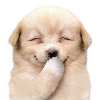 yuzhouwudicha17's profile picture. for #형준