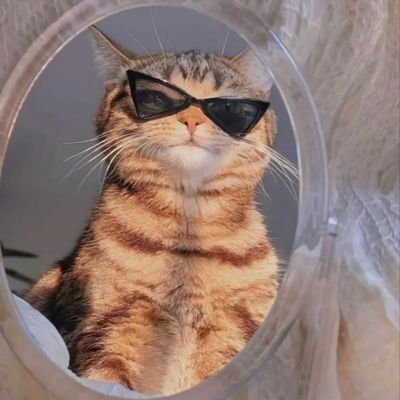 sintaxerror222's profile picture. 